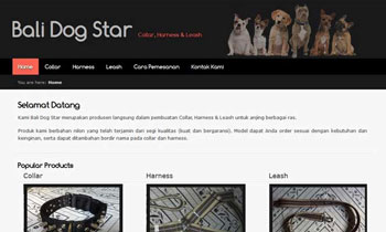 Bali Dog Star